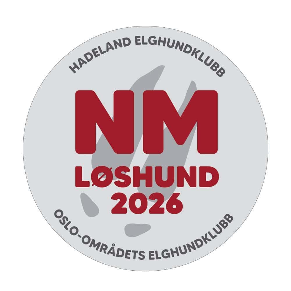 NM 2026
